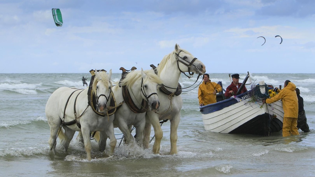 Photo of Others in Ambleteuse