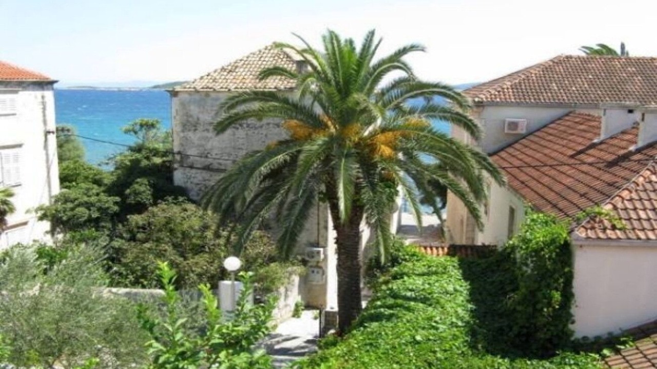 Photo of Outdoor in Orebic