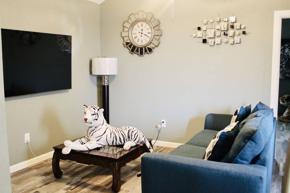 Photo of Livingroom in Leon Valley
