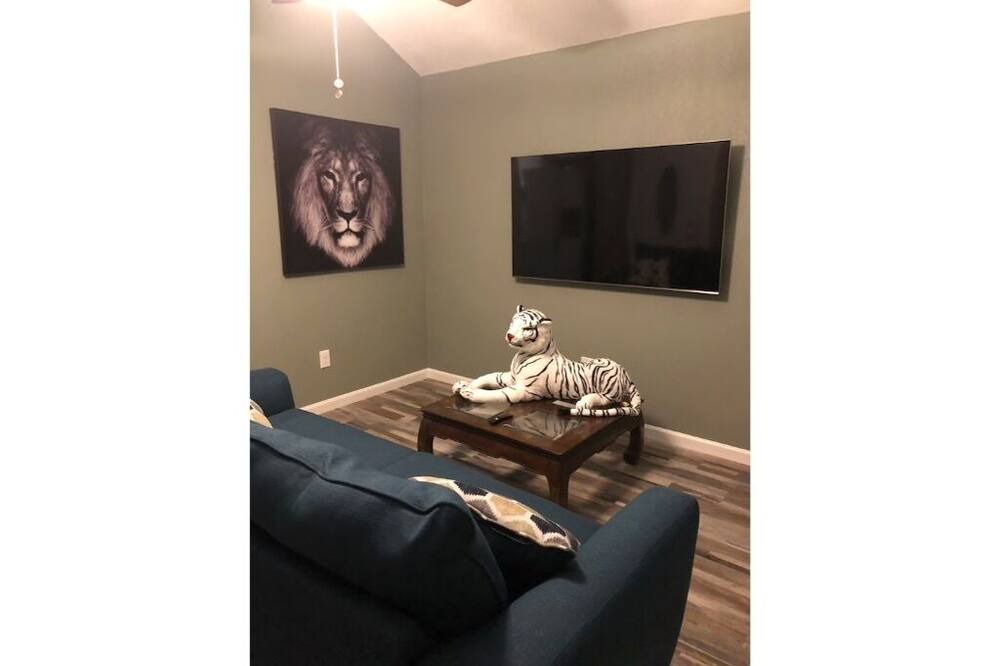 Photo of Livingroom in Leon Valley