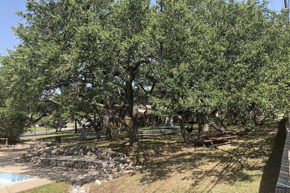 Photo of Outdoor in Leon Valley