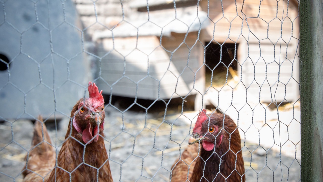 Photo of Outdoor in Tourcoing