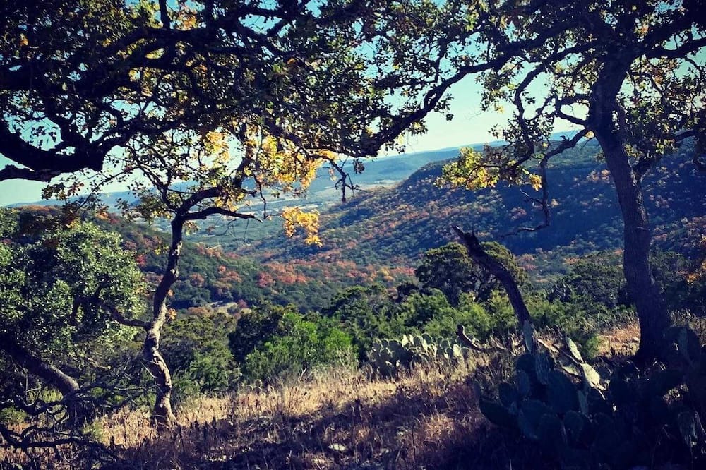 Photo of Outdoor in Tarpley