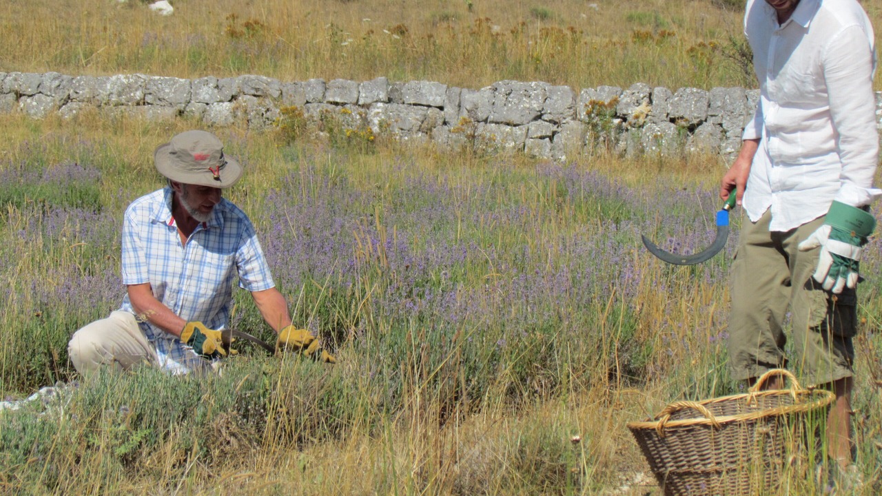 Photo of Outdoor in Vallauris