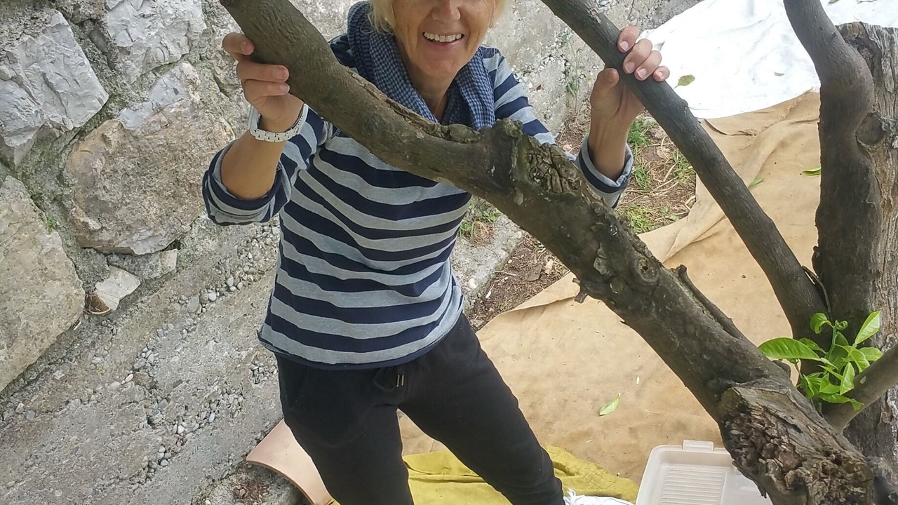 Photo of Others in Vallauris