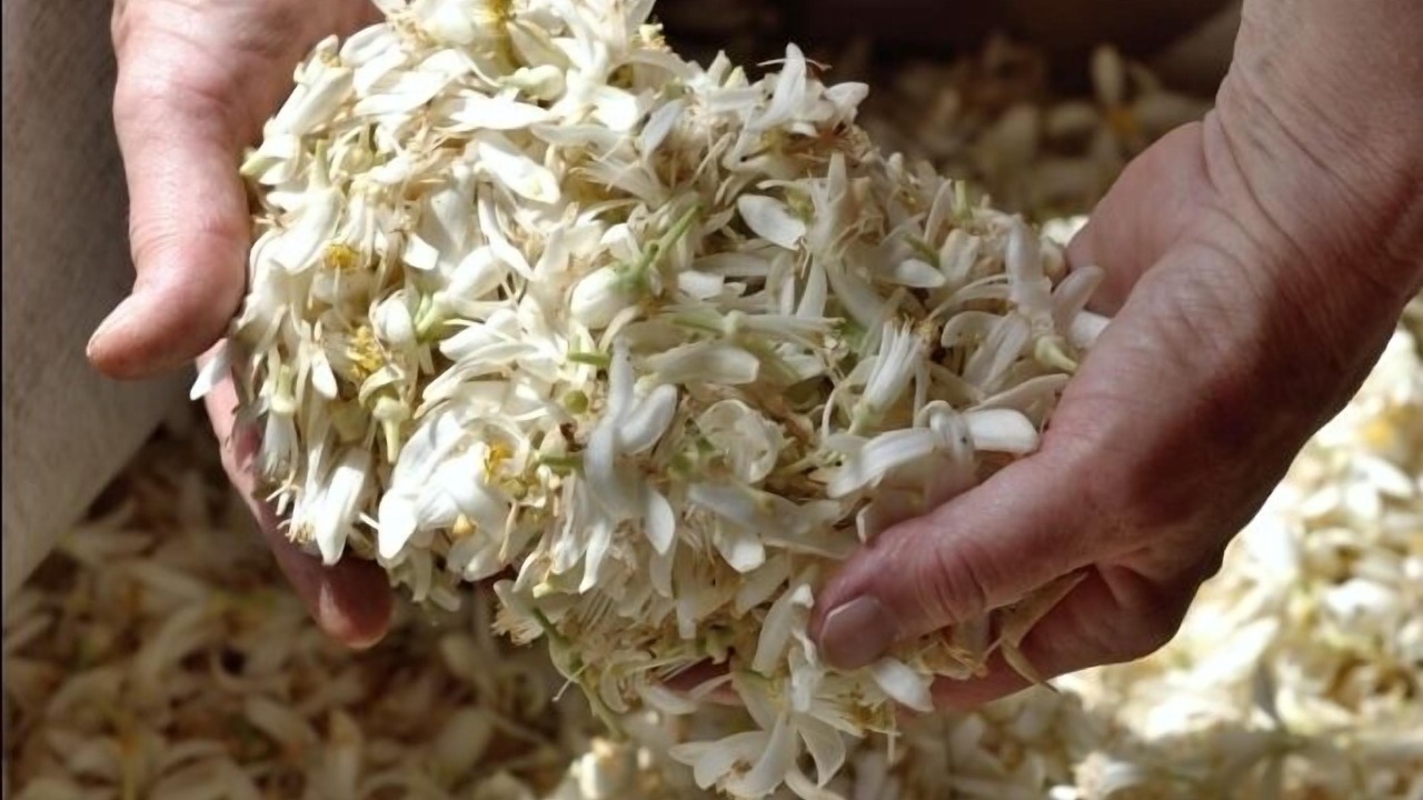 Photo of Others in Vallauris