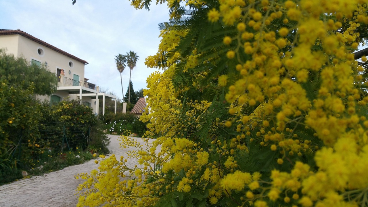 Photo of Outdoor in Vallauris