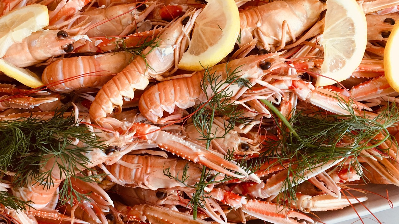 Photo of Others in Strandby