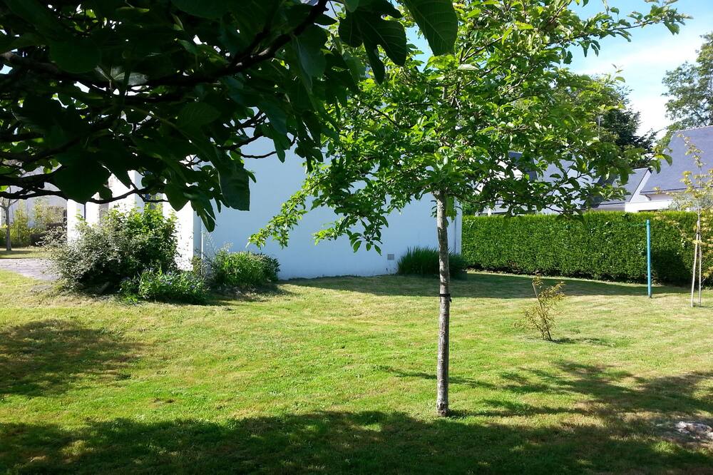 Photo of Outdoor in Bono