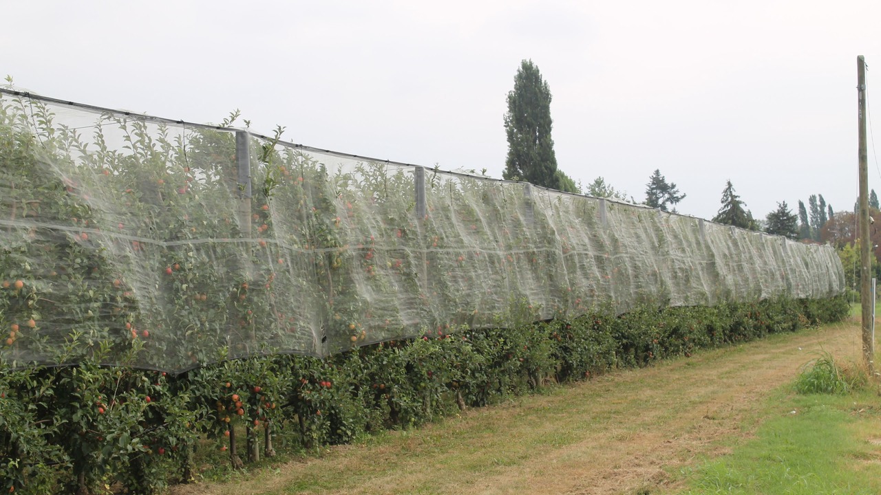 Photo of Outdoor in Saint-Nicolas-de-la-Grave