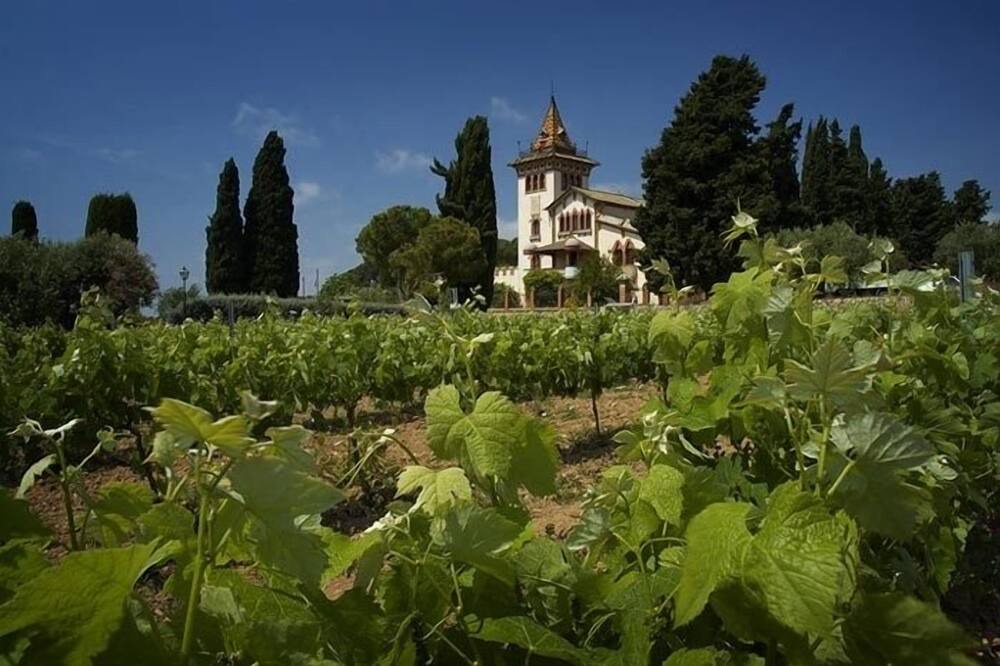 Photo of Outdoor in Sant Pere de Ribes