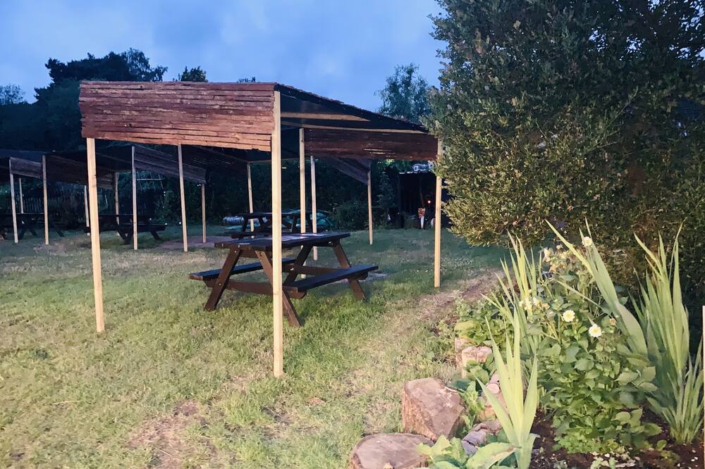 Photo of Outdoor in Bramley