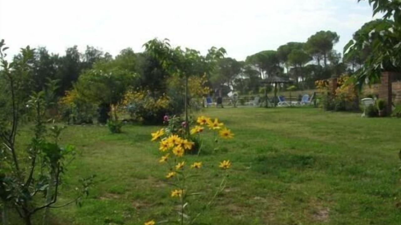 Photo of Outdoor in Riudarenes