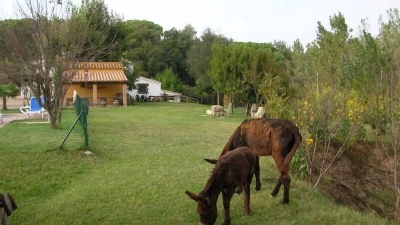 Photo of Outdoor in Riudarenes