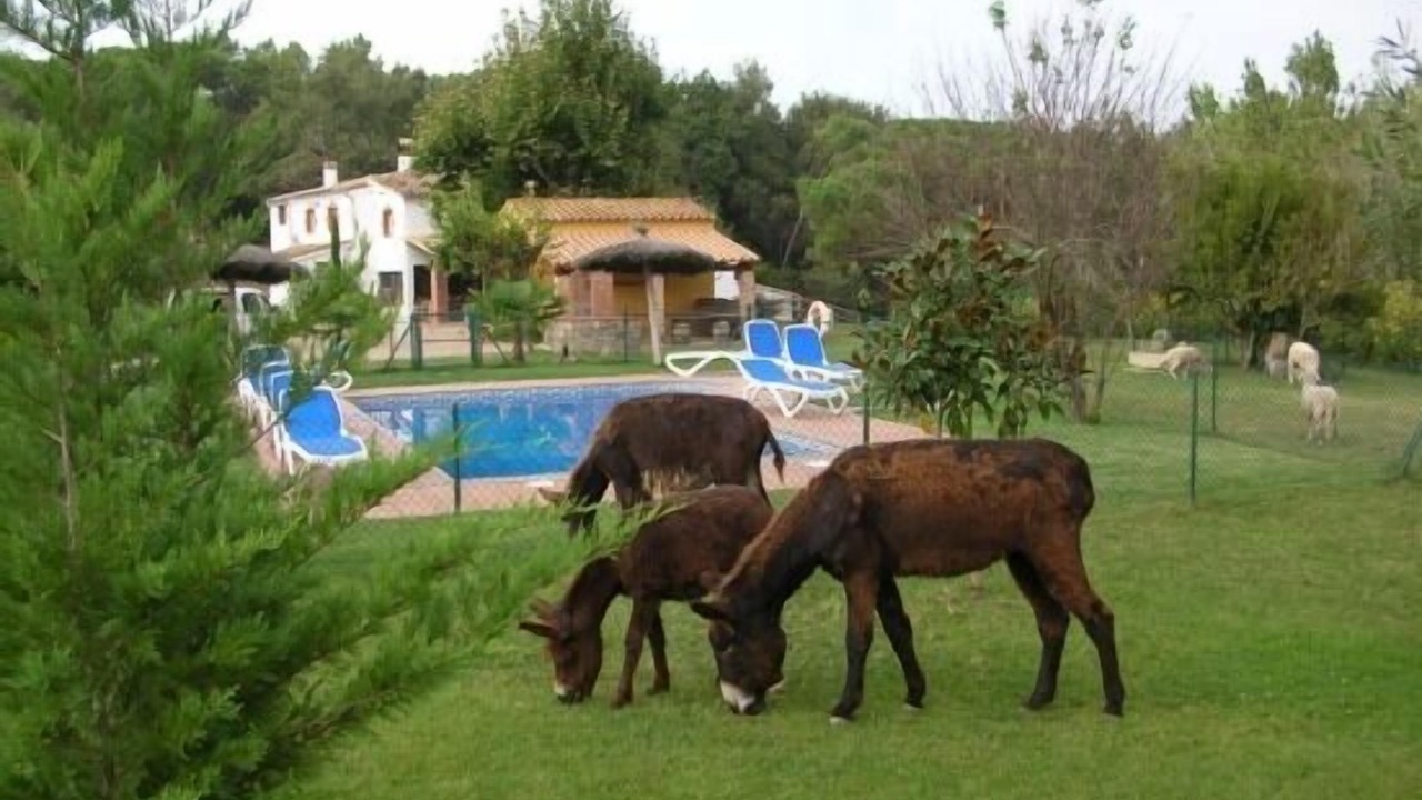 Photo of Outdoor in Riudarenes
