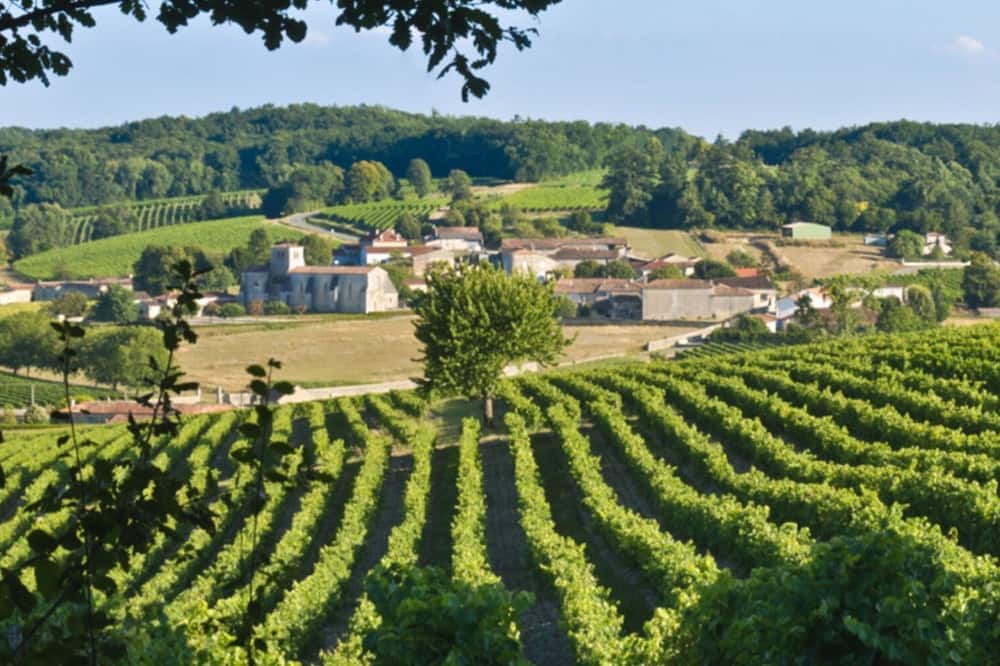 Photo of Others in Beaulieu-sur-Sonnette