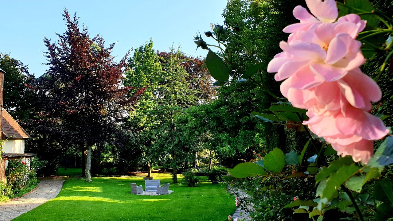 Photo of Outdoor in Forges-les-Eaux