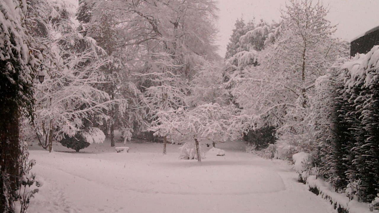 Photo of Others in Forges-les-Eaux