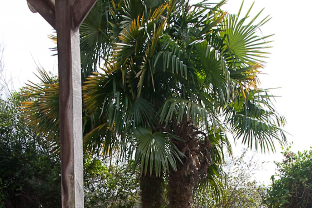 Photo of Patio Balcony in Ploerdut
