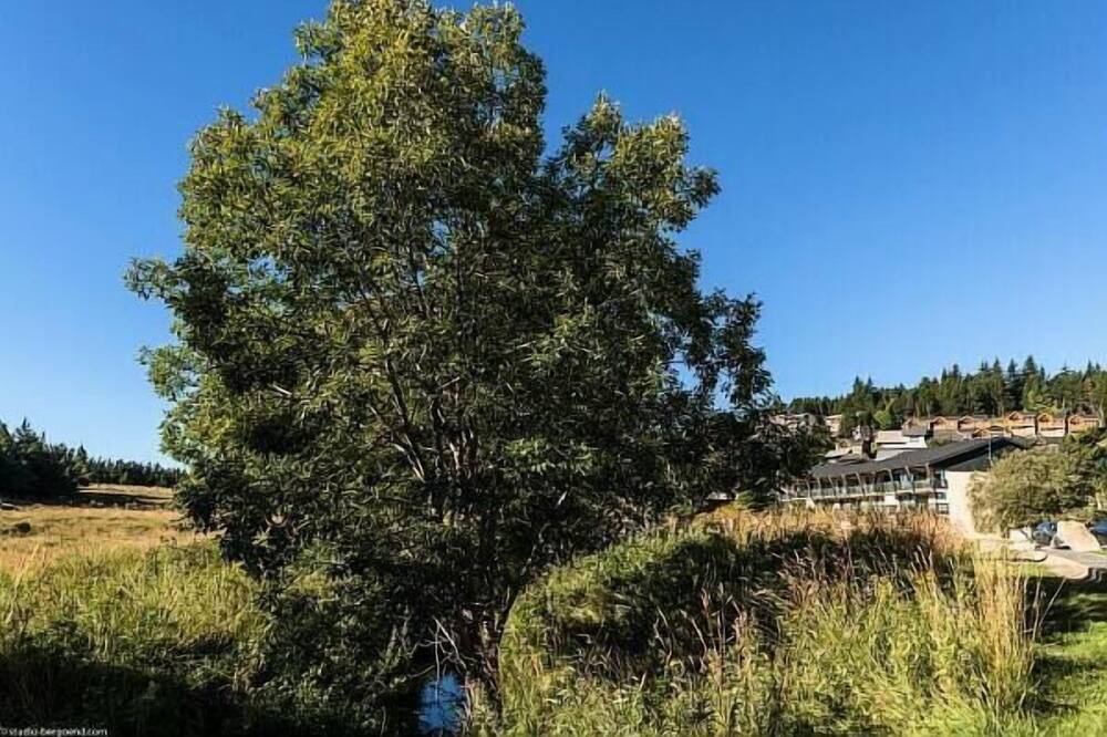 Photo of Outdoor in Pyrenees 2000