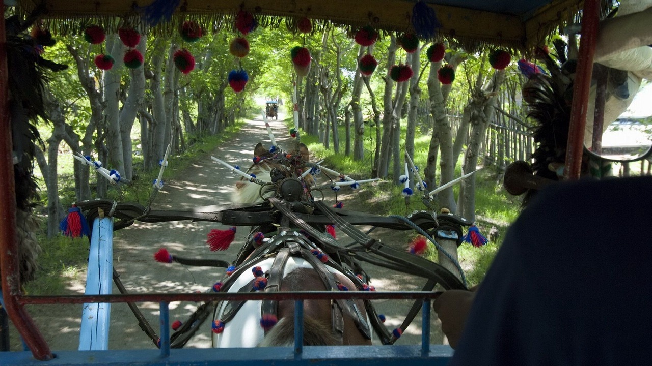 Photo of Outdoor in Gili Trawangan
