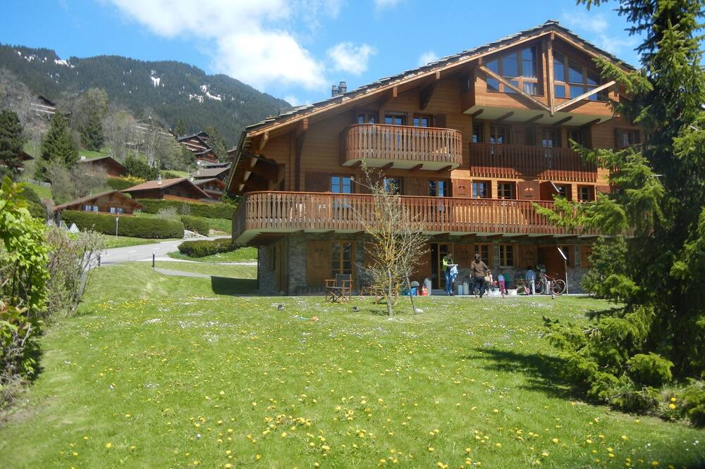 Photo of Outdoor in Chesieres
