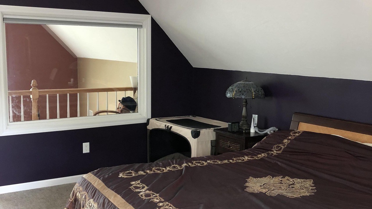 Photo of Others in Webster