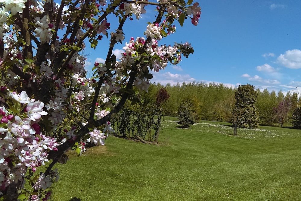Photo of Outdoor in Saint-Pierre-de-Buzet