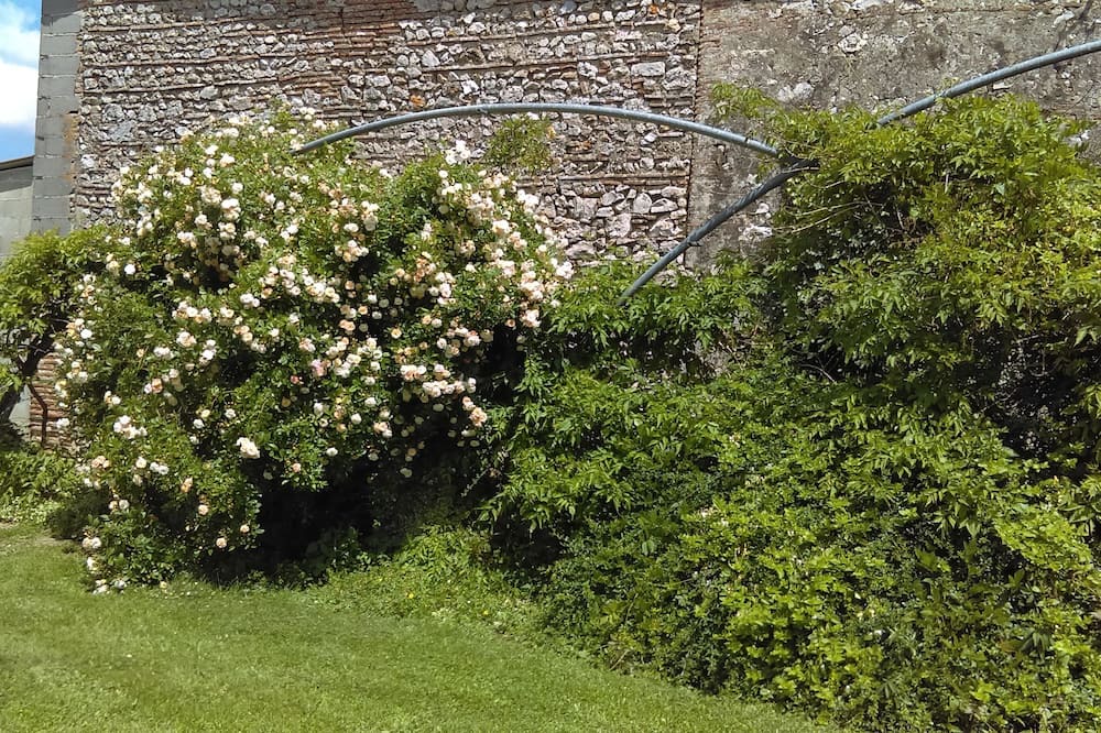 Photo of Outdoor in Saint-Pierre-de-Buzet