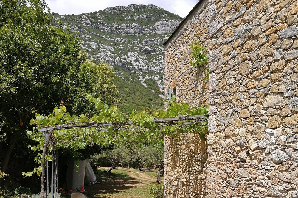 Photo of Outdoor in Pegairolles-de-Bueges
