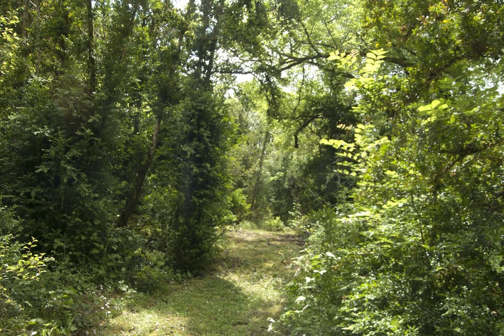 Photo of Outdoor in Paussac-et-Saint-Vivien