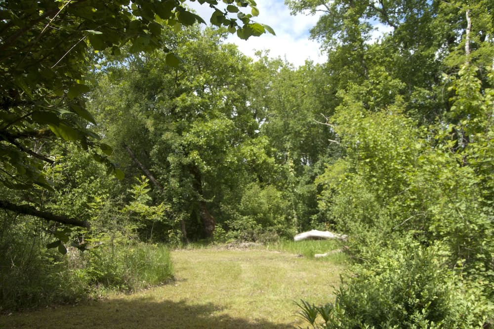 Photo of Others in Paussac-et-Saint-Vivien