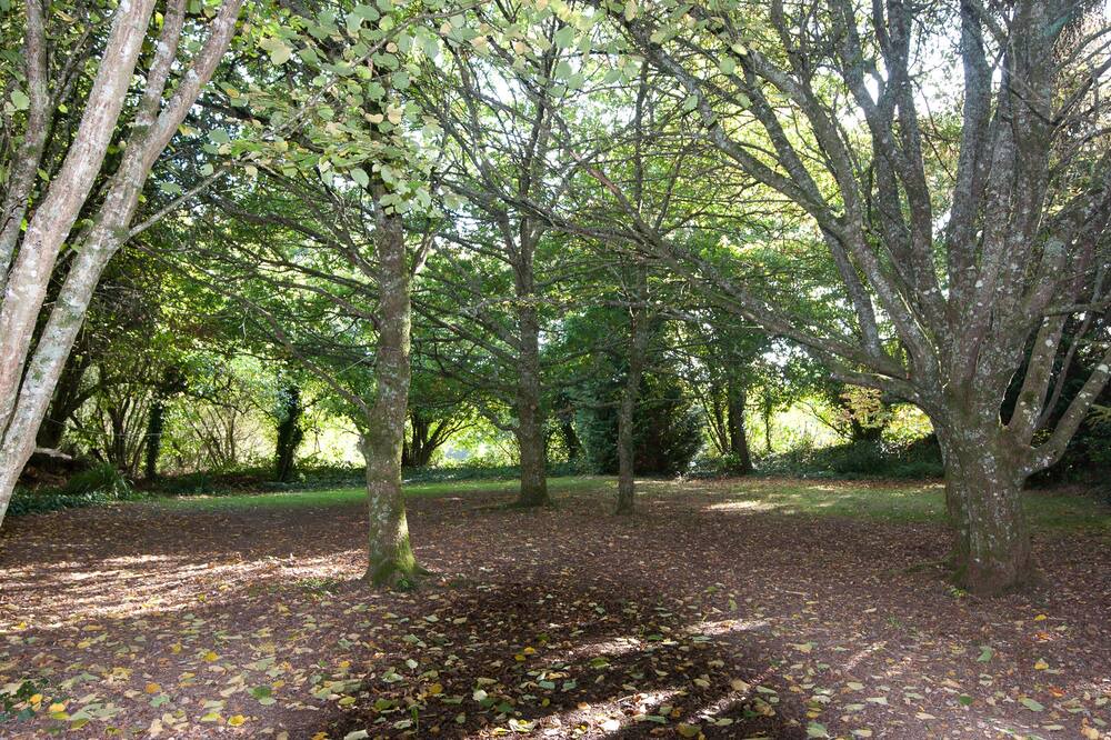 Photo of Outdoor in Ploerdut