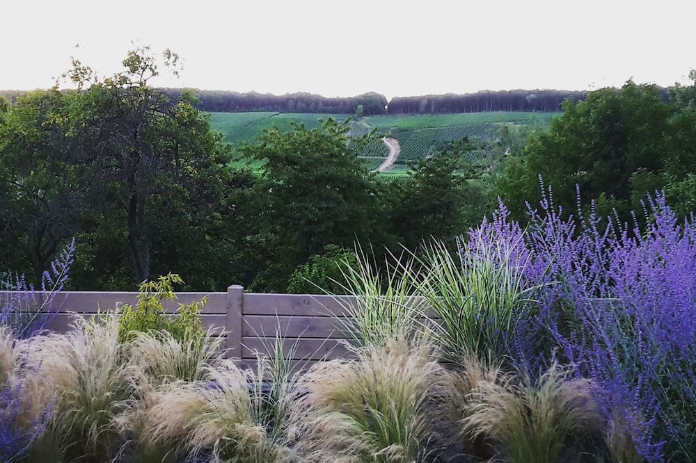 Photo of Outdoor in Villers-sous-Chatillon