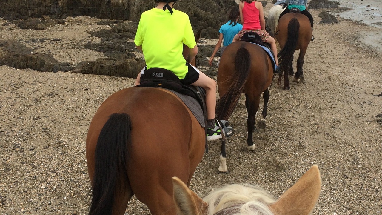 Photo of Others in Cancale