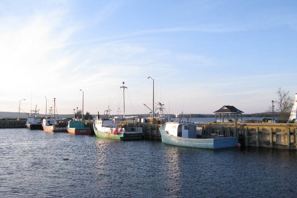 Photo of Outdoor in Port Medway