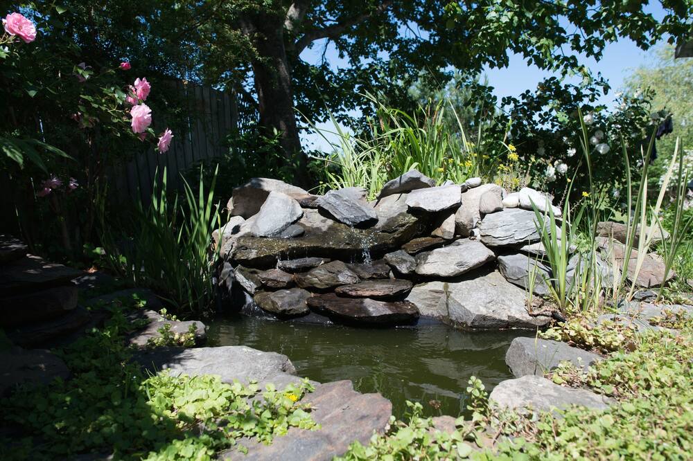 Photo of Outdoor in Port Medway