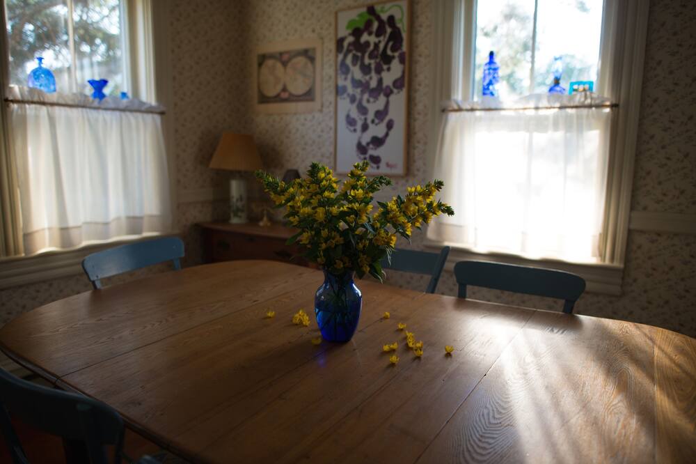 Photo of Livingroom in Port Medway