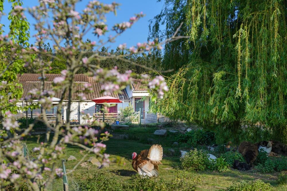 Photo of Outdoor in Vaire