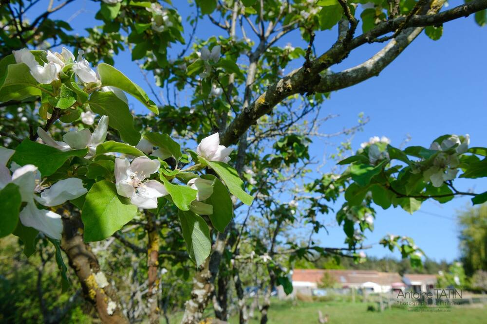 Photo of Outdoor in Vaire
