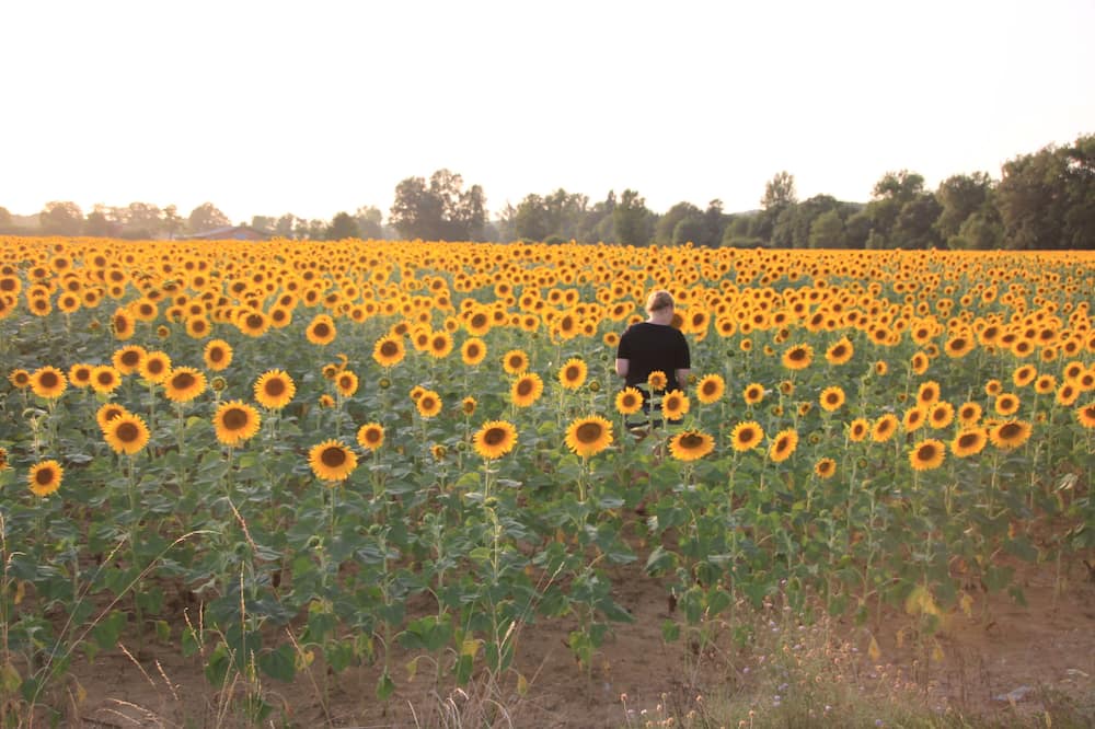 Photo of Outdoor in Montfermier