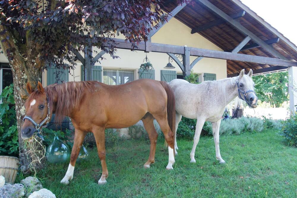 Photo of Outdoor in Montfermier