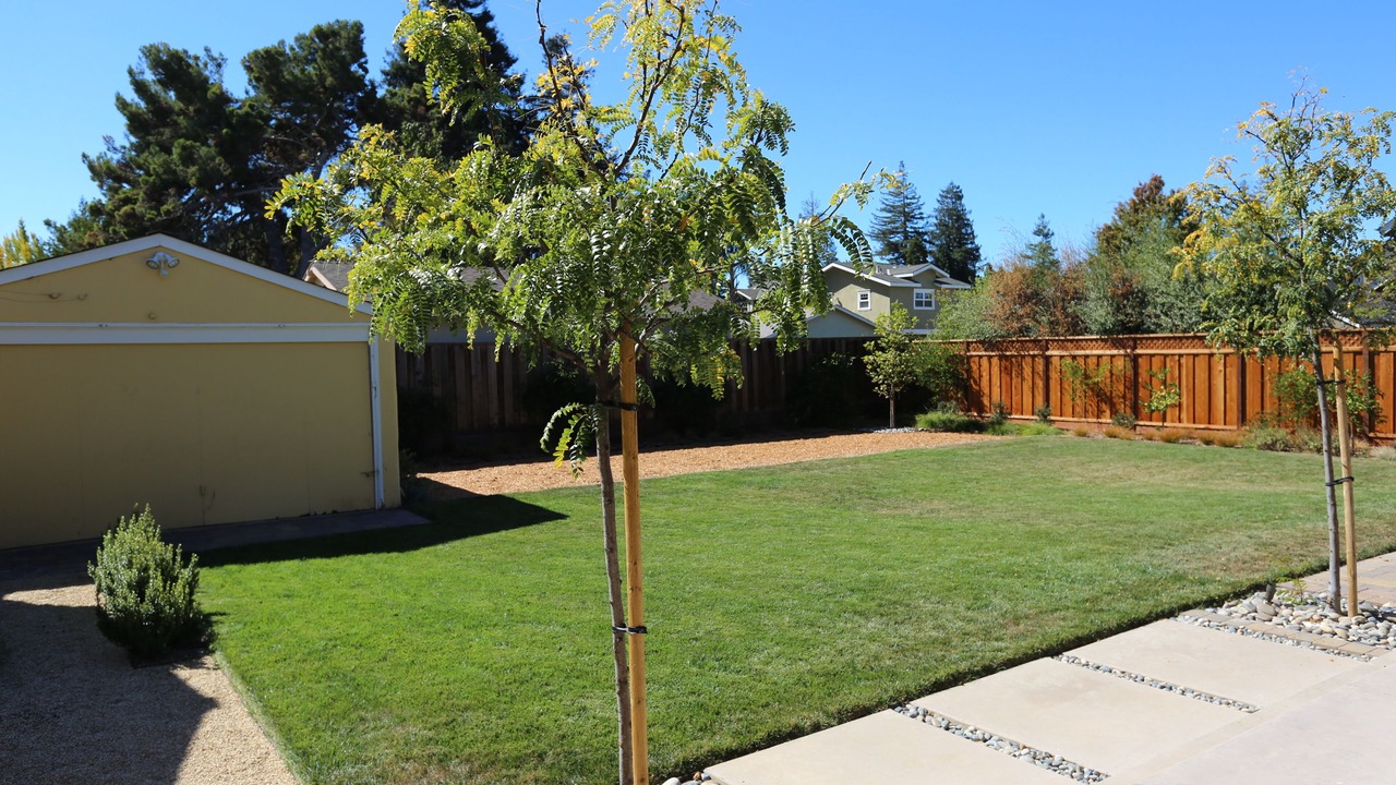 Photo of Outdoor in Shoreline West