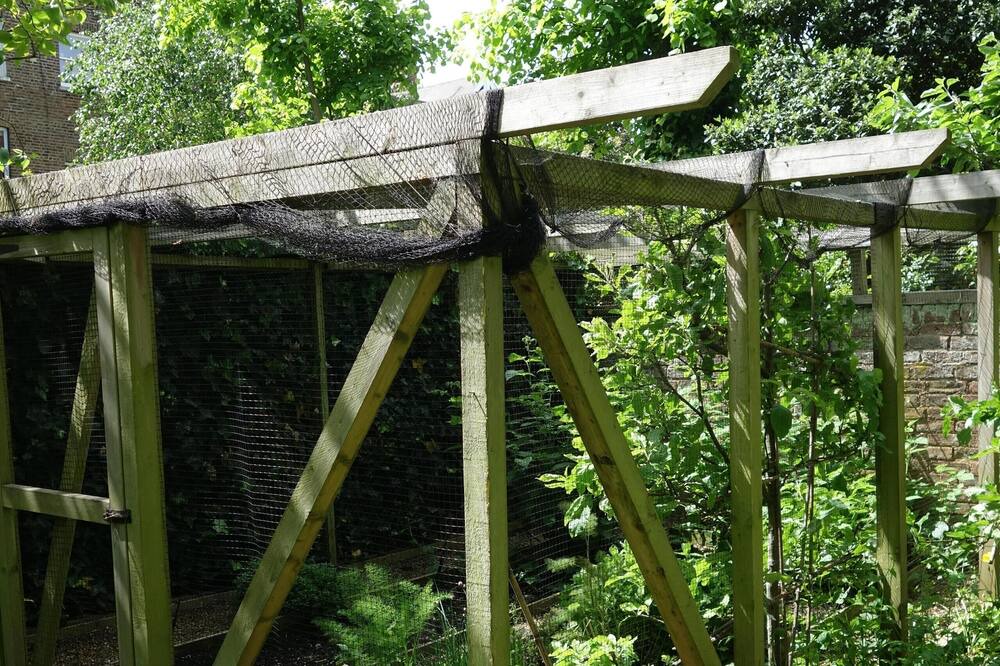 Photo of Others in Belsize