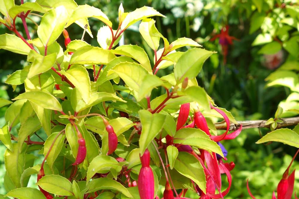 Photo of Outdoor in Belsize