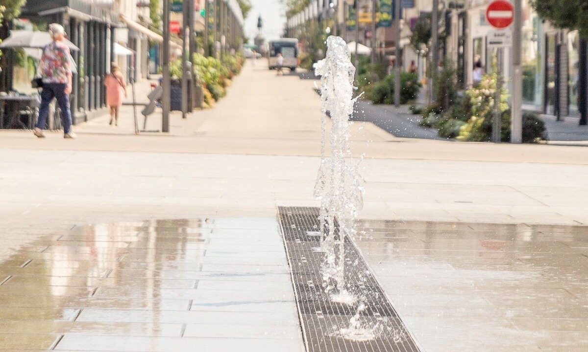 Photo of Others in La Roche-sur-Yon