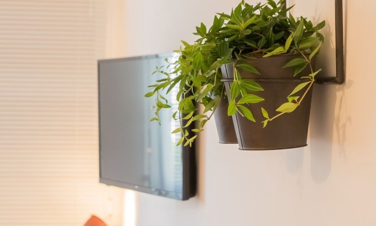 Photo of Others in La Roche-sur-Yon