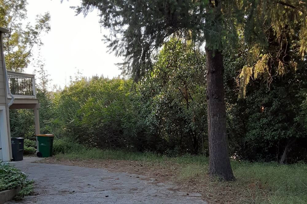 Photo of Others in Placerville