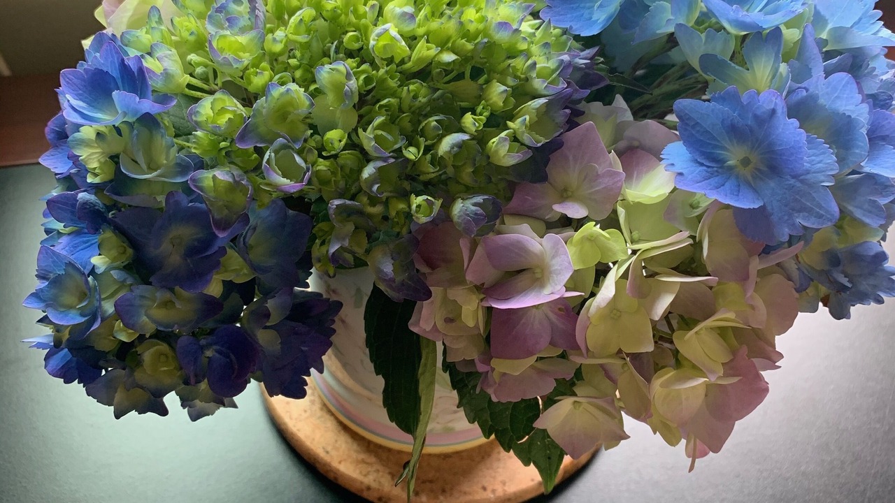 Photo of Others in Holly