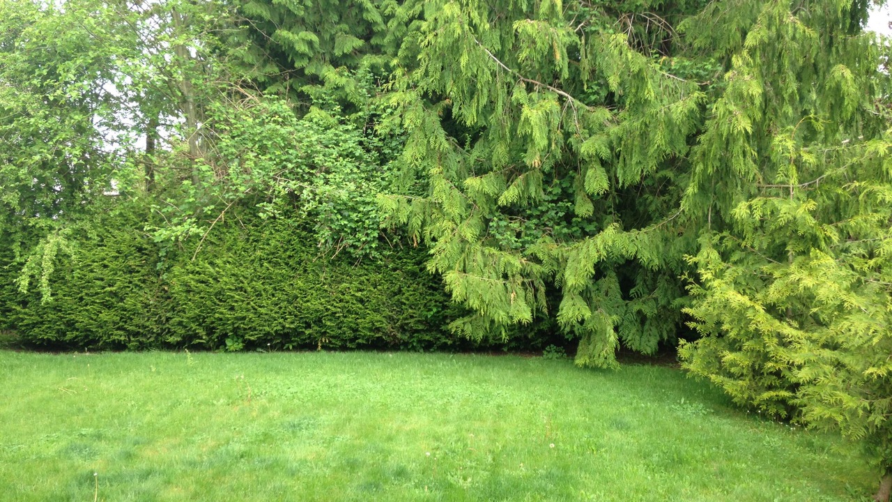 Photo of Outdoor in Holly